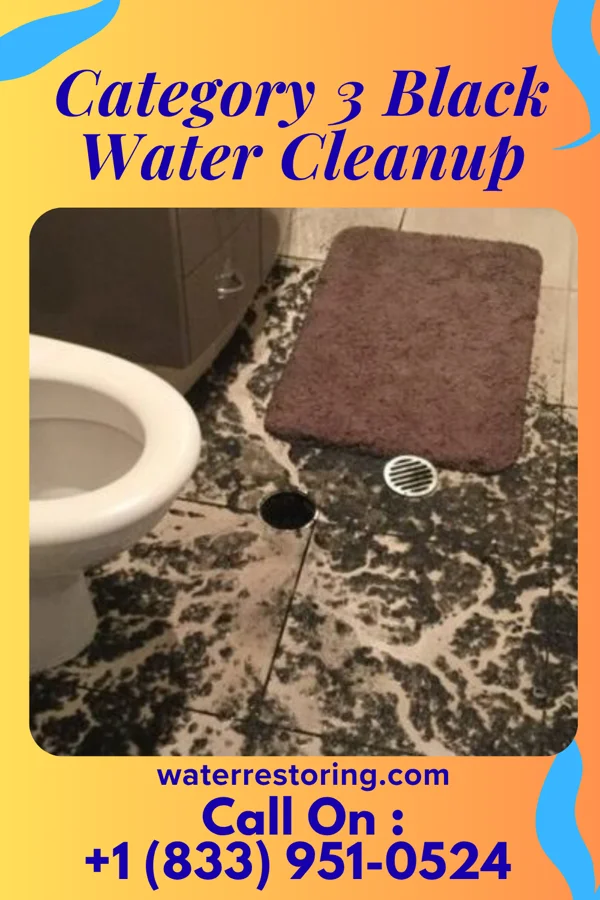 Category 3 Black Water Cleanup in Passaic, NJ