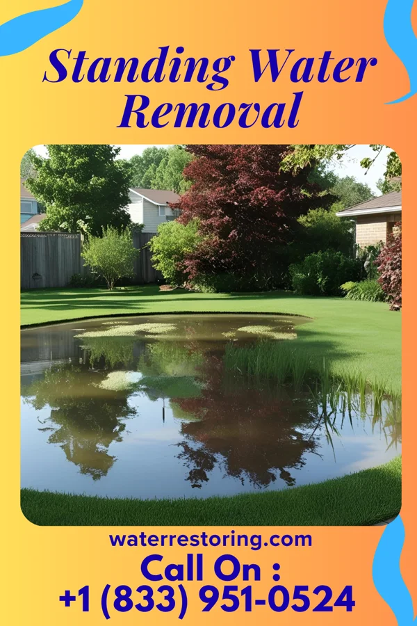 Standing Water Removal in Passaic, NJ